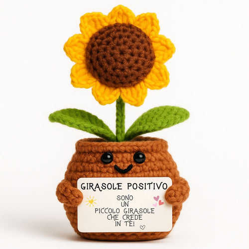 Girasole Positivo